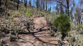 2022-03-GranCan-Mirador_Sargento-Trekking-PM-NN-18.JPG